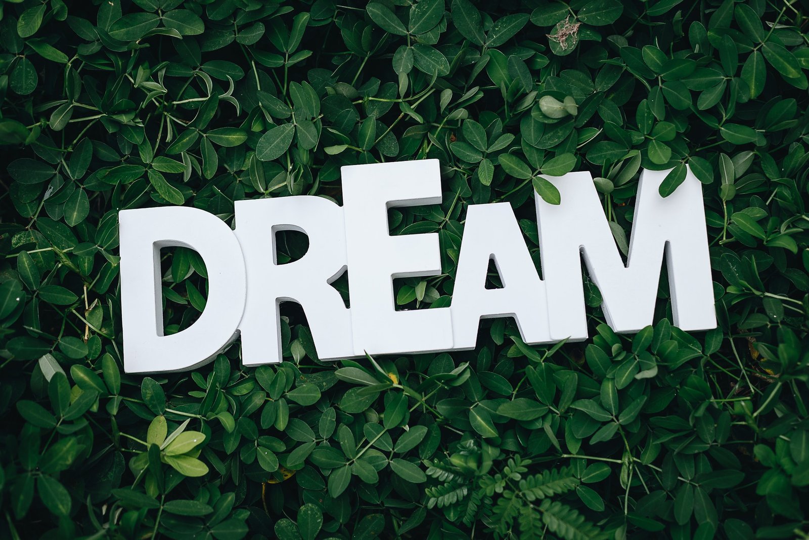 DREAM: You need to take action